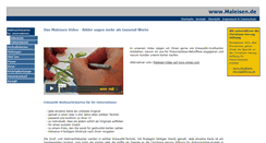 Desktop Screenshot of maleisen.de